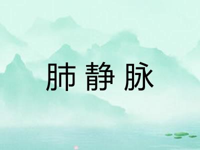 肺静脉 肺静脉