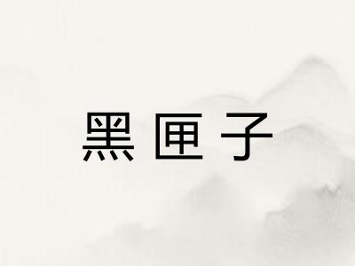 黑匣子 黑匣子