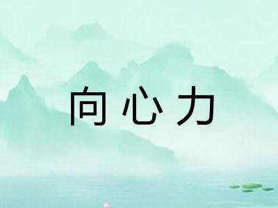 向心力 向心力