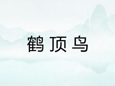 鹤顶鸟 鹤顶鸟