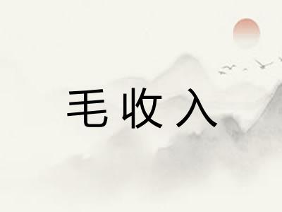 毛收入 毛收入