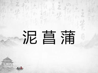 泥菖蒲 泥菖蒲