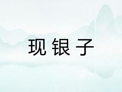 现银子 现银子