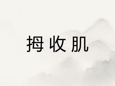 拇收肌 拇收肌