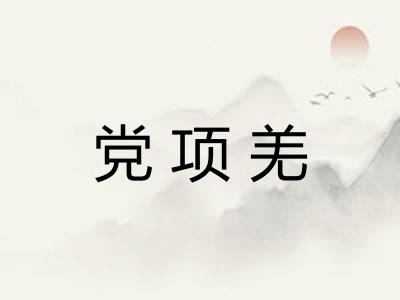 党项羌 党项羌
