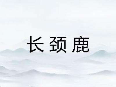 长颈鹿 长颈鹿