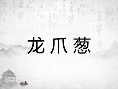 龙爪葱 龙爪葱