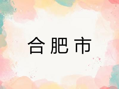 合肥市