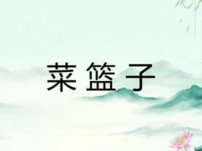 菜篮子 菜篮子