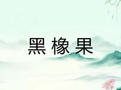 黑橡果 黑橡果