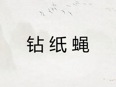 钻纸蝇 钻纸蝇