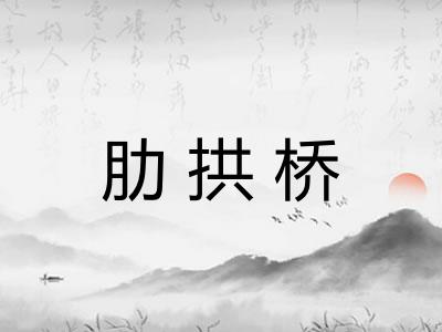 肋拱桥 肋拱桥