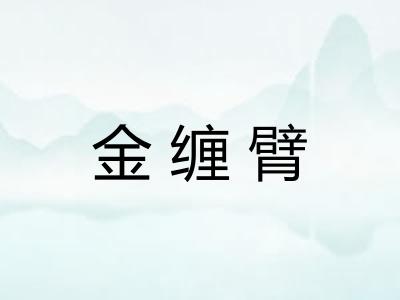 金缠臂 金缠臂