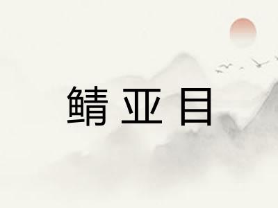 鲭亚目 鲭亚目