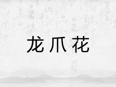 龙爪花 龙爪花