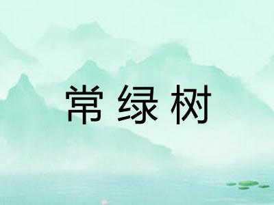 常绿树 常绿树