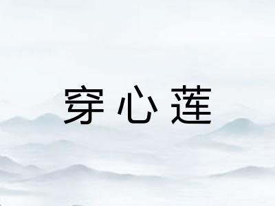 穿心莲 穿心莲