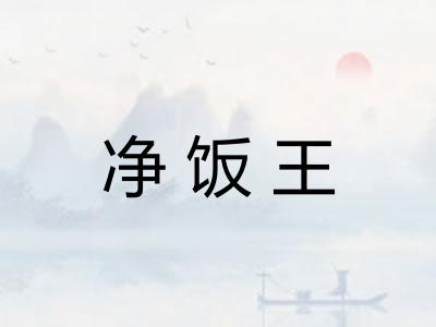 净饭王 净饭王