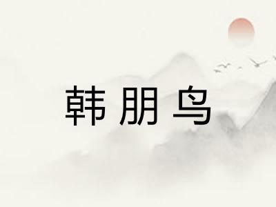 韩朋鸟 韩朋鸟