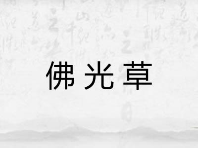 佛光草 佛光草
