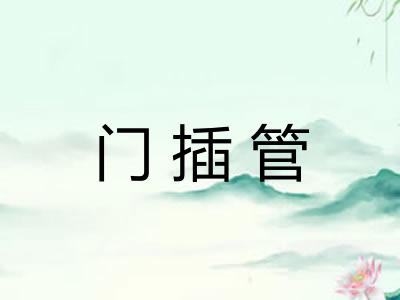 门插管 门插管
