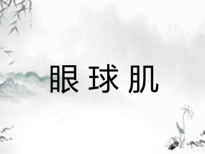 眼球肌 眼球肌