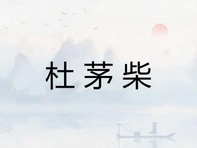 杜茅柴 杜茅柴