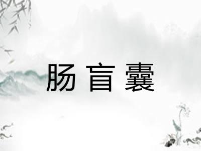 肠盲囊