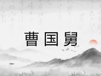 曹国舅 曹国舅
