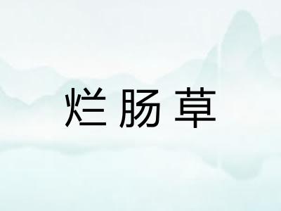 烂肠草 烂肠草