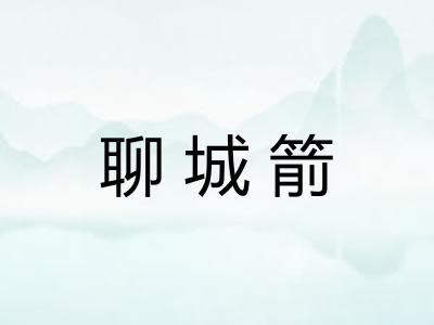 聊城箭 聊城箭
