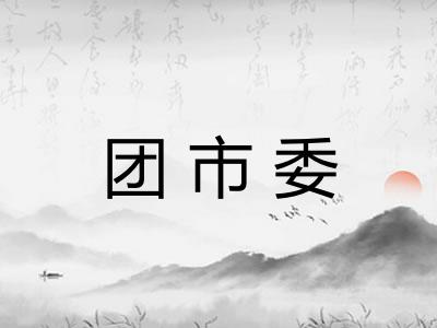 团市委 团市委