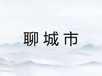聊城市 聊城市