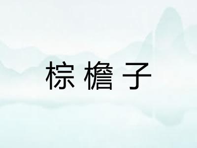 棕檐子 棕檐子