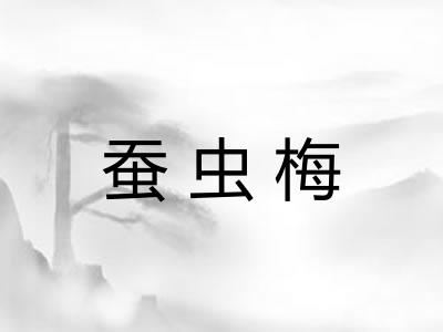 蚕虫梅 蚕虫梅