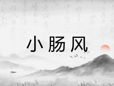 小肠风
