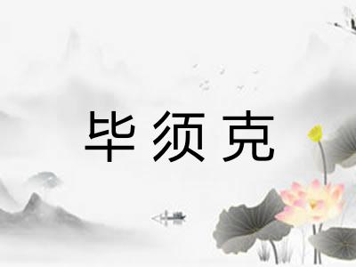 毕须克 毕须克