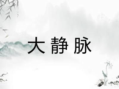 大静脉 大静脉