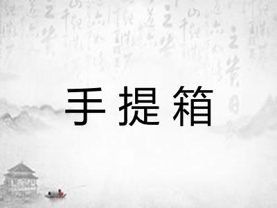 手提箱 手提箱