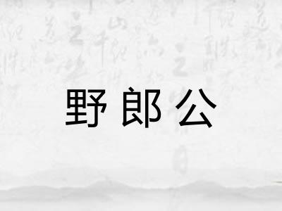 野郎公 野郎公