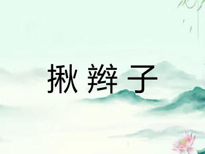 揪辫子 揪辫子