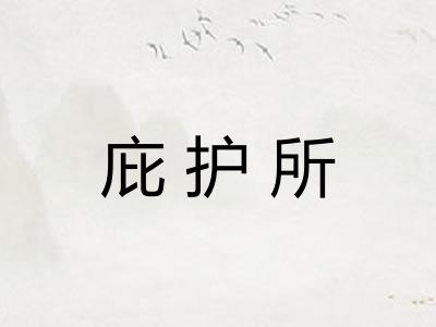 庇护所 庇护所
