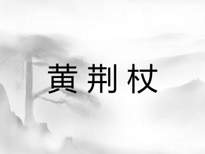 黄荆杖 黄荆杖