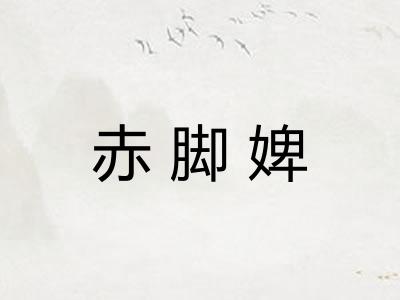 赤脚婢 赤脚婢