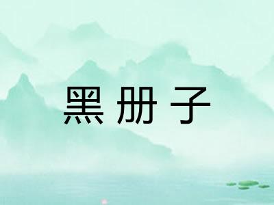 黑册子 黑册子