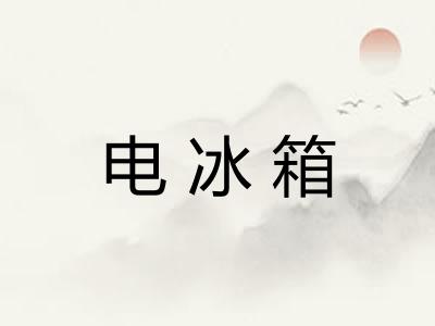 电冰箱 电冰箱