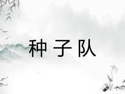 种子队 种子队