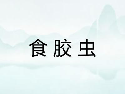 食胶虫