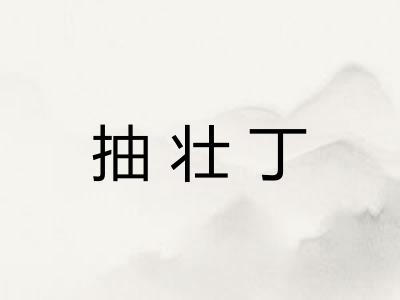 抽壮丁