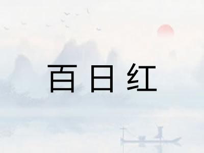 百日红 百日红